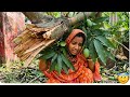 BIGGEST MISTAKE WHILE PICKING MANGOES! ⚠️😇😇😇😇#dailyvlog