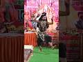 Shiv Shankar bholenath #mahadev #mahashivratri #shivshankar #trending #youtubeshorts #vitalshorts