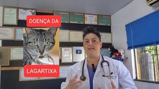 Lagartixaplatinosomose