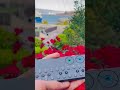 floral #lydian #electronicmusic adventures in #sanfrancisco