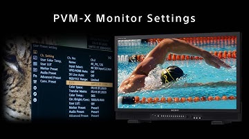 Sony PVM-X Monitor: Settings