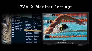 Sony PVM-X Monitor: Settings