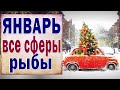 РЫБЫ 🎅 ЯНВАРЬ (РАБОТА, ЛЮБОВЬ, ДЕНЬГИ, ДОМ, СЮРПРИЗ). Таро прогноз гороскоп