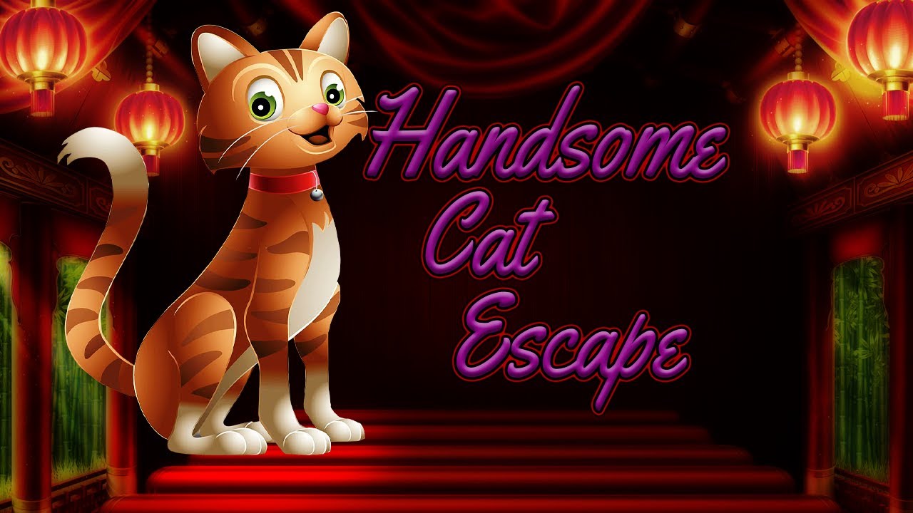 G4K Handsome Cat Escape Game Walkthrough - YouTube