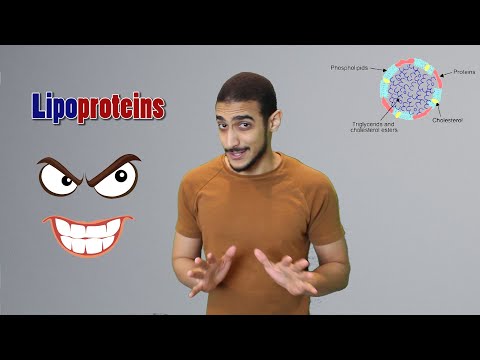 Lipoproteins - شرح بالعربي