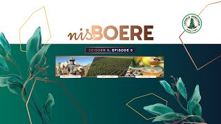 Nisboere 8 Episode 06