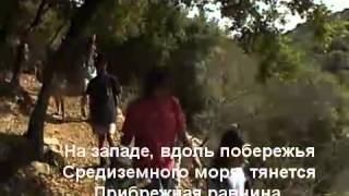 видео групповые экскурсии в Тунисе