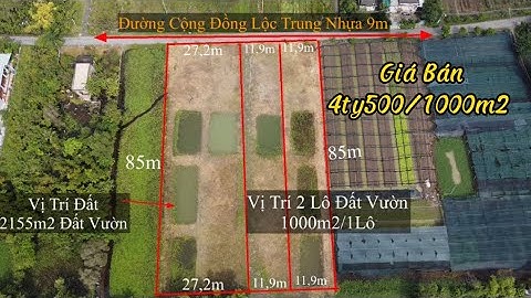 10.Bán 1000m2 Đất Vườn 11,9x85m Giá Bán 4ty500tr Mặt Tiền Đường Cộng Đồng Lộc Trung Cần Giuộc