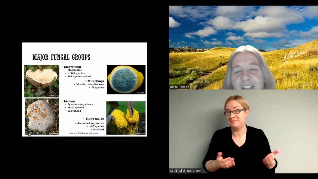 Winter Speaker Series 2023 - The Fungus Among Us: Manitoba’s Fungal Diversity