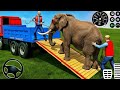🐘 Elephant Loading Challenge! Can This Truck Handle It? 😱Giant Elephant vs Small Truck 🚛 Who Will Wi