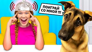 ЧЕЛЛЕНДЖ новые серии! ЛИЗА НАУЧИЛАСЬ читать МЫСЛИ ЖИВОТНЫХ! Видео 24 ЧАСА