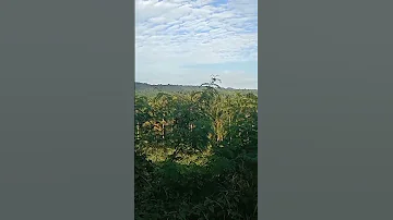 SAMAL Is Fascinating 