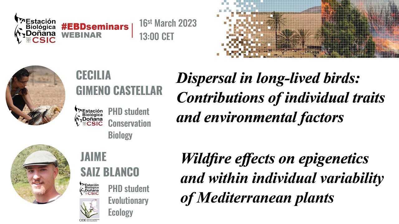 EBD Seminars | Cecilia Gimeno Castellano y Jaime Saiz Blanco