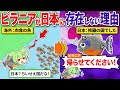 人をも襲う"ピラニア"が日本に生息していない理由