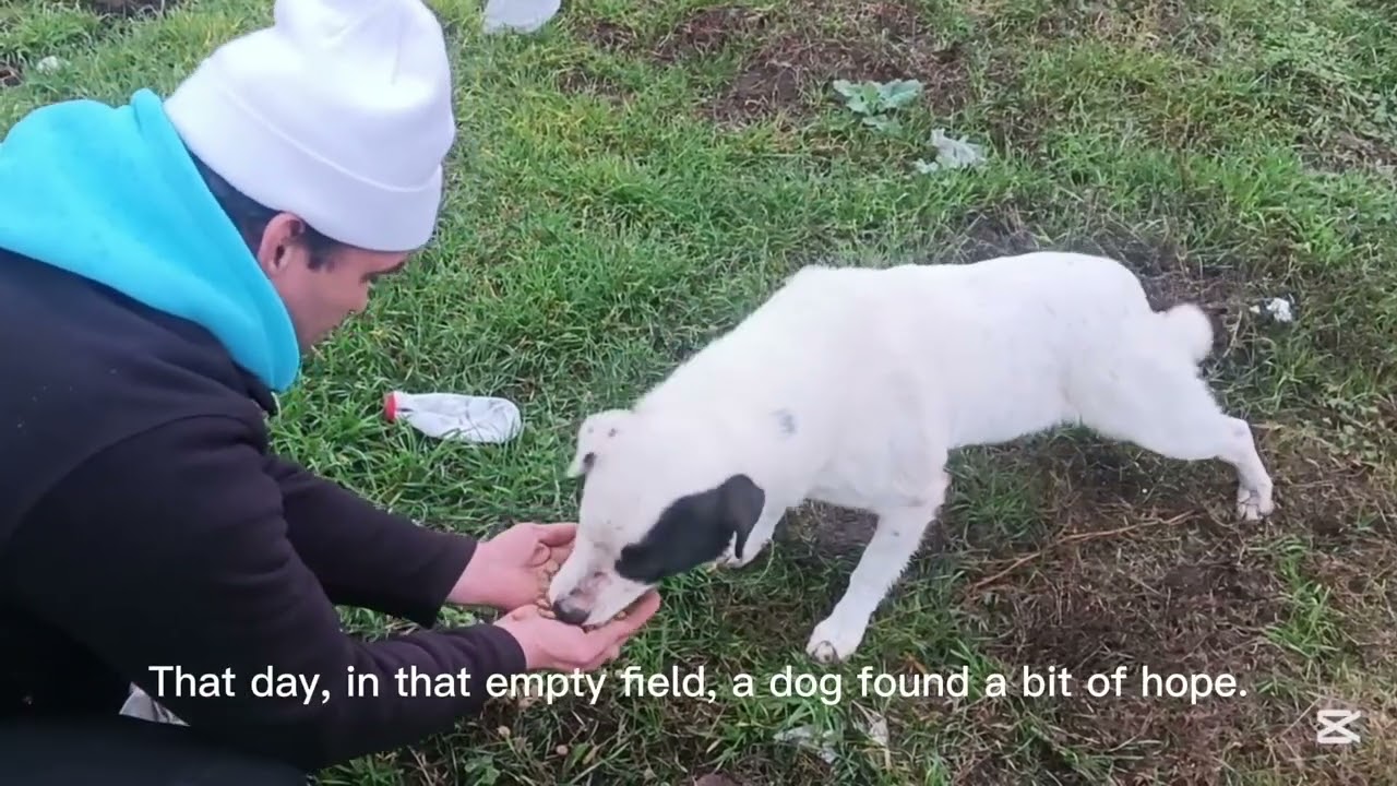  at the Border: A Heart Still Waiting 