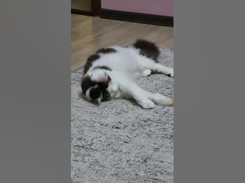 Гриша - YouTube