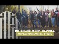 Авторский интенсив Евгения Ткачука “Природа перезагрузки”. Отзывы.