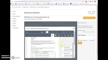 How to View Feedback in Canvas LMS