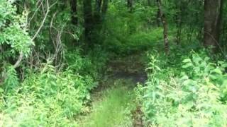 140 S. Shepherd Rd. video tour