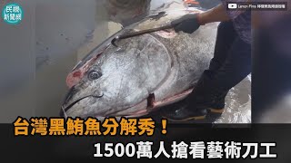 台灣黑鮪魚分解秀！1500萬人搶看藝術刀工－民視新聞 