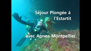 Séjour Plongée à l'Estartit avec Apnea Montpellier