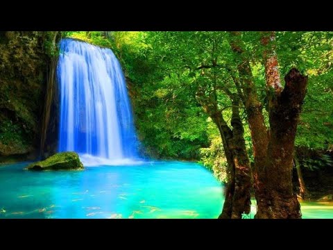 خليك مع الله واعمل الطيب