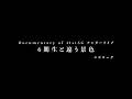 Documentary of 41stSG アンダーライブ~6期生と違う景色~エピローグ