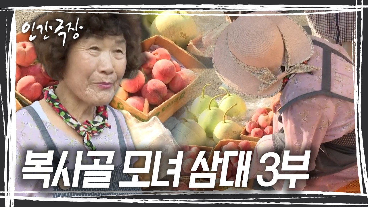 딸 은희 씨가 걱정할까봐 몰래 복숭아를 팔러 오일장으로 향한 순조 씨! 하지만 비밀은 오래가지 못하고 결국 은희 씨에게 들키고 마는데... [인간극장] KBS 260902 방송