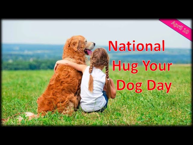 National Hug Your Dog Day is April 10 and Here Are 6 Gifts for