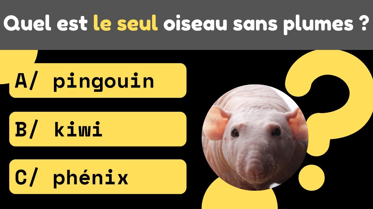 🧠 30 Questions INCROYABLES de Culture Générale 🌍 | Pourras-tu faire un sans-faute ?