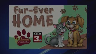 Bowie animal shelter 12/16/25