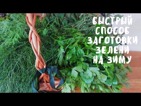 БЫСТРЫЙ СПОСОБ ЗАГОТОВКИ ЗЕЛЕНИ НА ЗИМУ. Заготовки на зиму. Мой опыт. БЫСТРЫЙ СПОСОБ ЗАГОТОВКИ ЗЕЛЕНИ НА ЗИМУ. Заготовки на зиму. Мой опыт.