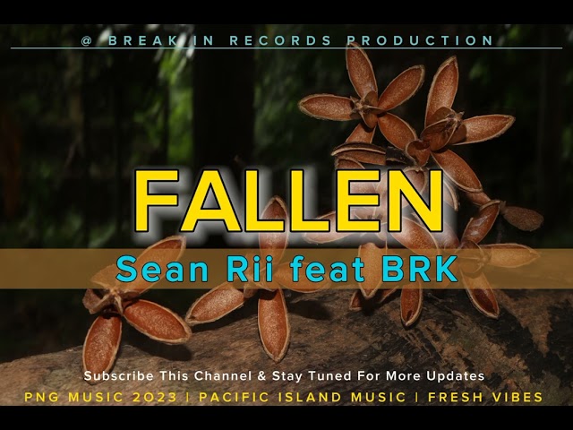 Fallen_-_Sean Rii feat BRK class=