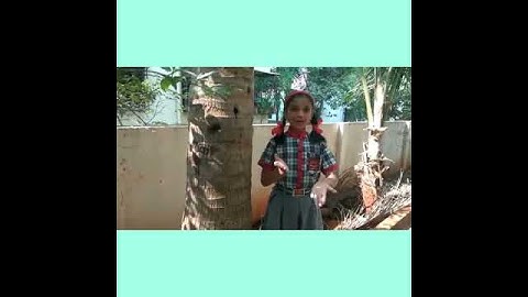 Class IV EVS Story of Amrita 🌴🌳🍀🌲☘️