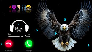 New Message Ringtone 🔔 | Cute SMS Tone 2026 | Best Notification Sound | Mobile Ringtone #ringtone 