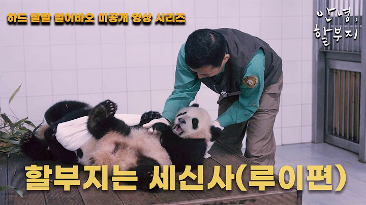 [안녕,할부지] 하드 탈탈 털어바오 미공개 영상 시리즈 13편 - 할부지는 세신사 (루이 편)