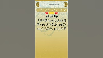 قرآن كريم تلاوه سوره المسد #تفاعل #اكسبلور #quran #لايك #ترند #المراه #المراره #تيك_توك #التغطيه