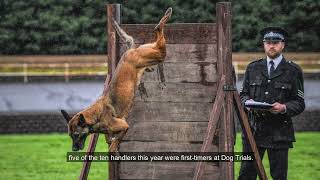 Police Dogs take on the 56th Regional Police Dog Trials 🏆