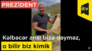 Prezident İlham Əliyev: "Kəlbəcərin arısı bizi sancmaz, o bilir biz kimik"