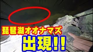 足元の隙間に『ビワコオオナマズ』がいた！！！【BeveLコラボ】#2生物調査編