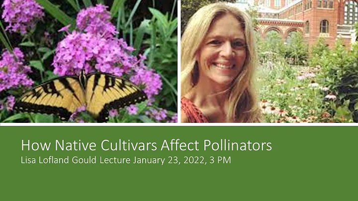 How Native Cultivars Affect Pollinators - Lisa Lof...
