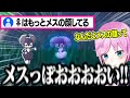 オスとメスで見た目が全く違うポケモンに驚愕する夕陽リリ
