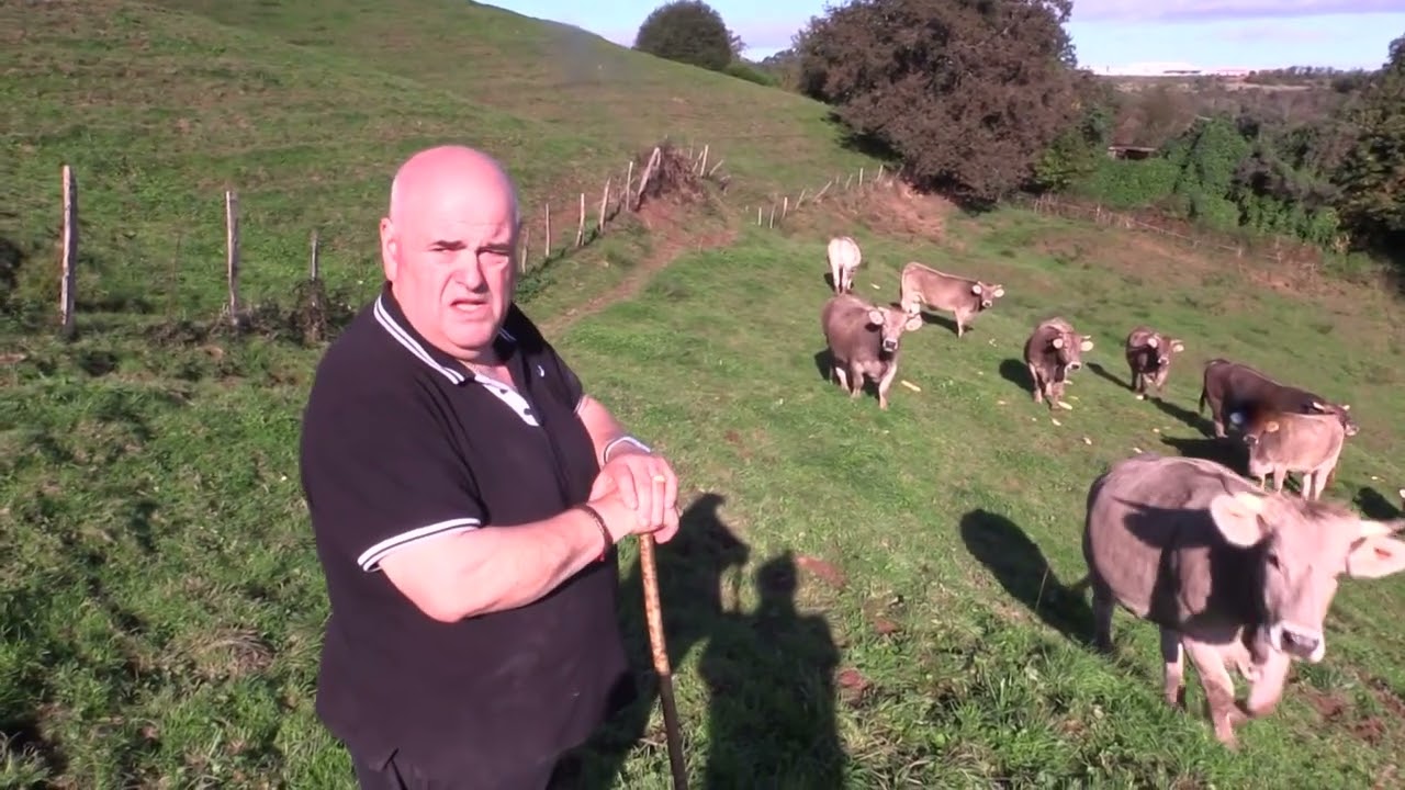 Ganaderos en su hábitat | Pardas de montaña | 15.11.2025