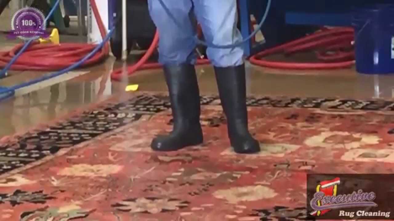 Area Rug Cleaning Bethany YouTube