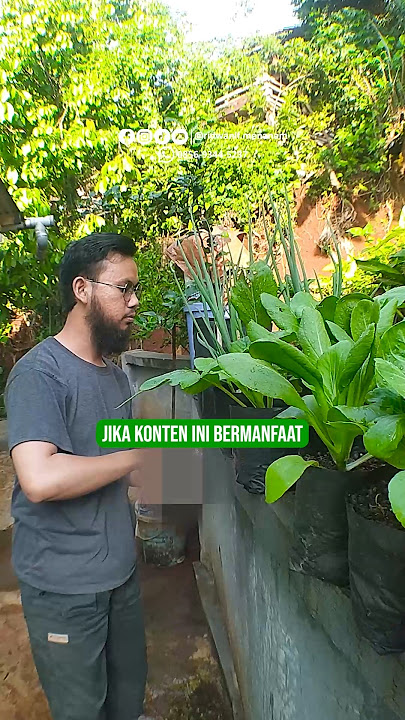 Don't overdo it with fertilizer during the rainy season. Here are some tips you can follow.