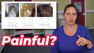 How To Recognize Pain in Your Cat | Vet's Voice