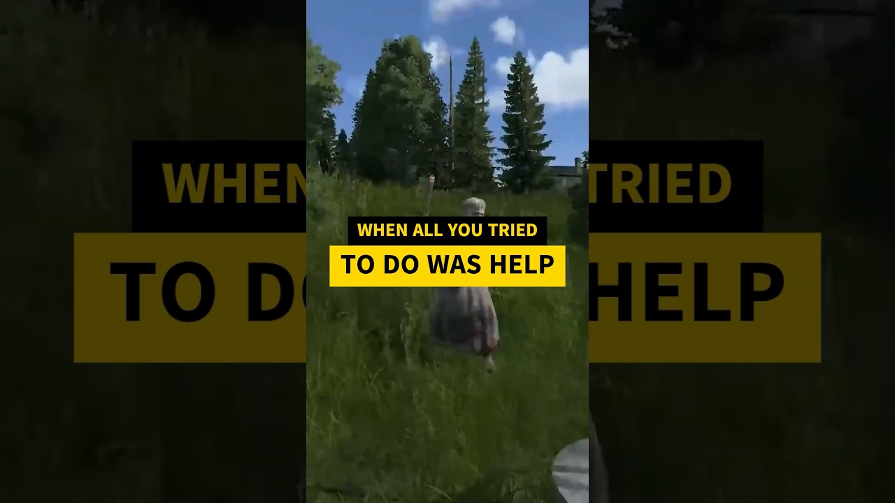 WHEN ALL YOU TRIED TO DO WAS HELP #dayz #dayzclips #dayzfunnymoments #dayzpvp #dayzgameplay