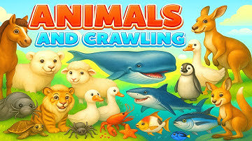 Learn Bugs, sea animals, Insects and Reptiles Fun Facts and Names in English for Toddlers