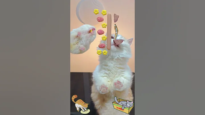 Video 9919901: cat funnycats kitten cutecat, cat kitten cute funnycats, cute mother cat, cat cute mom funny, cat family cute funny, cat cute funny love