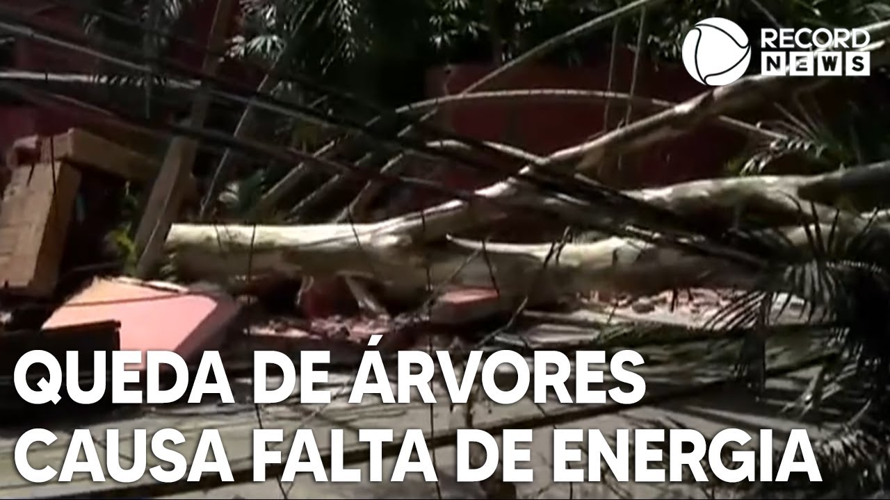 Queda de árvores causa falta de energia em vários bairros de São Paulo